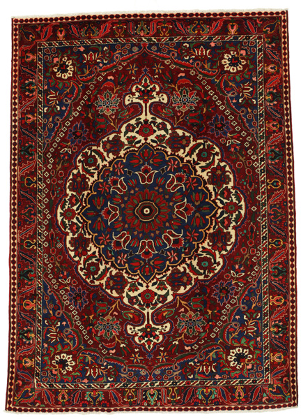 Bakhtiari Covor Persan 313x224