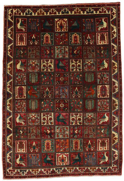 Bakhtiari - Garden