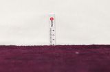 Vintage Covor Persan 275x163 - Imagine 8
