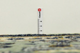 Kashan Covor Persan 377x235 - Imagine 8