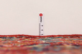 Kashan Covor Persan 382x294 - Imagine 8