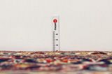 Kashan Covor Persan 305x204 - Imagine 8