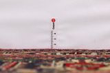 Tabriz Covor Persan 295x195 - Imagine 8