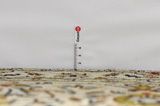 Kashan Covor Persan 356x235 - Imagine 8