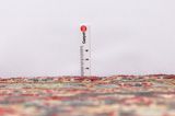 Kashan Covor Persan 396x295 - Imagine 8