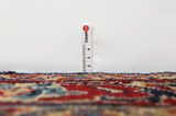 Tabriz Covor Persan 326x110 - Imagine 8