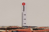 Bakhtiari - Garden Covor Persan 305x210 - Imagine 8