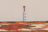 Bakhtiari - Qashqai Covor Persan 398x145 - Imagine 8