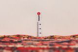 Hosseinabad - Hamadan Covor Persan 285x106 - Imagine 8