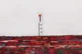 Hosseinabad - Hamadan Covor Persan 395x104 - Imagine 8