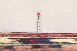 Koliai - Kurdi Covor Persan 315x157 - Imagine 8