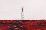 Enjelas - Hamadan Covor Persan 405x160 - Imagine 8