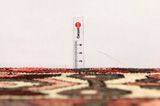 Bakhtiari - Garden Covor Persan 285x198 - Imagine 8