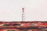 Hosseinabad - Hamadan Covor Persan 440x110 - Imagine 8