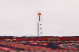 Songhor - Koliai Covor Persan 305x150 - Imagine 8