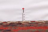 Afshar - Sirjan Covor Persan 260x143 - Imagine 8
