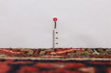 Hosseinabad - Hamadan Covor Persan 290x100 - Imagine 8