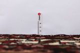 Enjelas - Hamadan Covor Persan 510x114 - Imagine 8