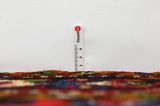 Lilian - Sarouk Covor Persan 283x165 - Imagine 8