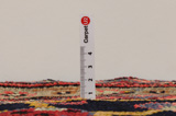 Bijar - Kurdi Covor Persan 336x162 - Imagine 8