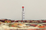 Bakhtiari - Garden Covor Persan 302x216 - Imagine 8