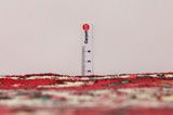 Hosseinabad - Hamadan Covor Persan 317x218 - Imagine 8
