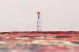 Farahan - Sarouk Covor Persan 337x213 - Imagine 8